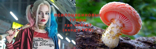 эйфоретик Абинск