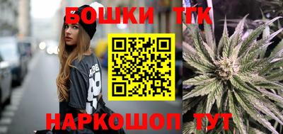 МДПВ Добрянка