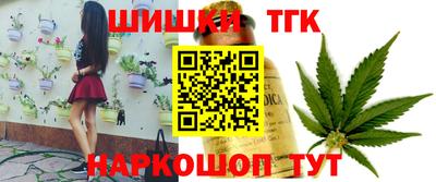 МДПВ Добрянка