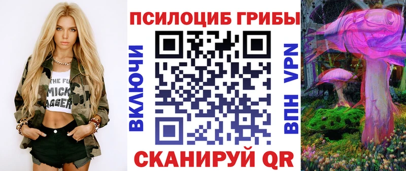 Псилоцибиновые грибы прущие грибы  Тутаев 