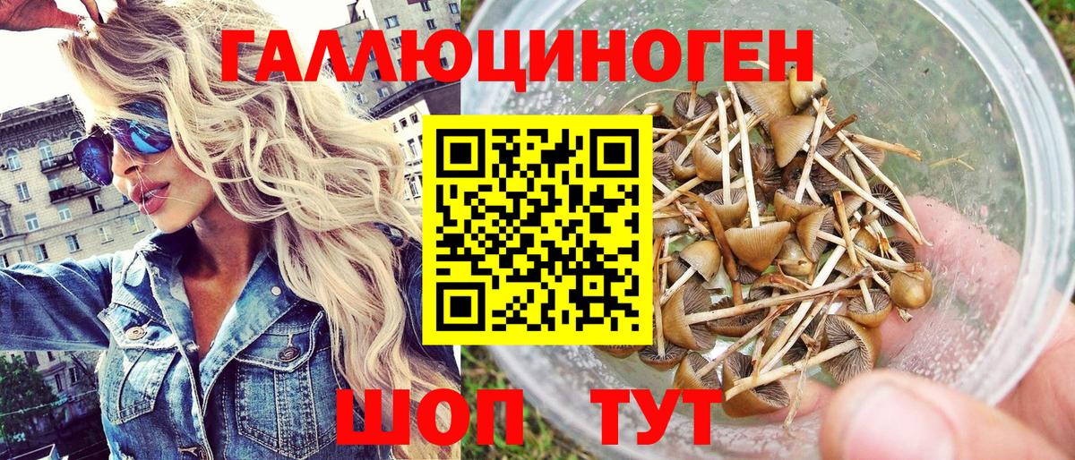 Галлюциногенные грибы Psilocybe  Вход с VPN  Тутаев 