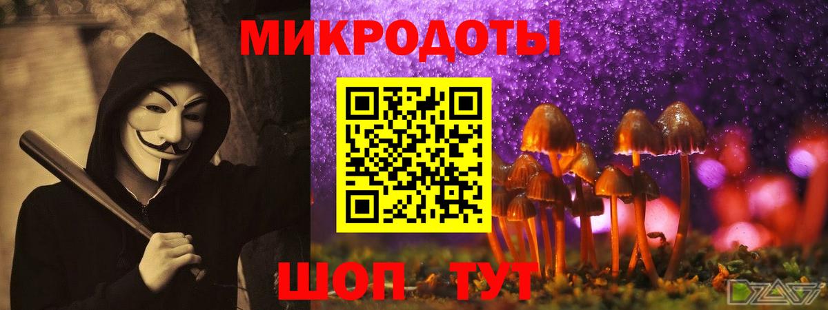 Псилоцибиновые грибы Magic Shrooms Тутаев